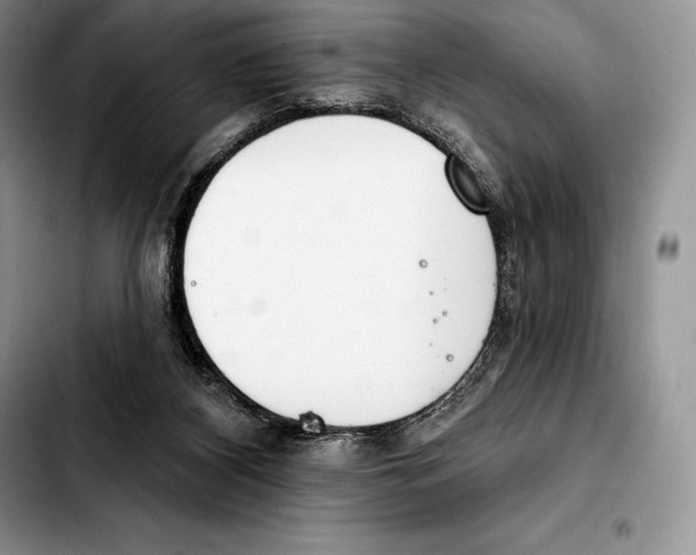 X0000103460116200810101159