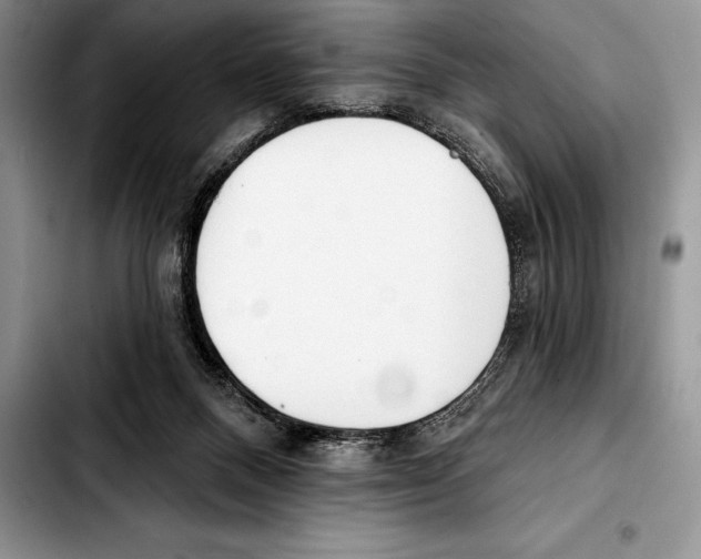 X0000103460120200810101159