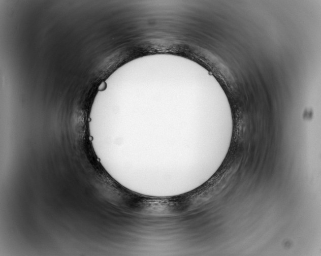 X0000103460121200810101159