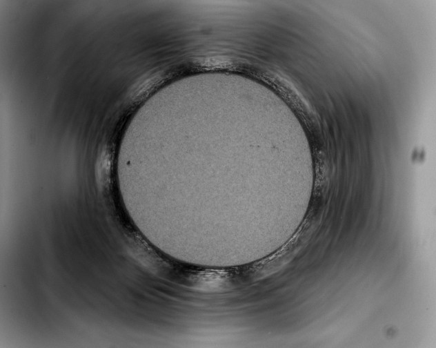 X0000103460124200810101159
