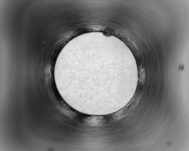 X0000103460128200810101159