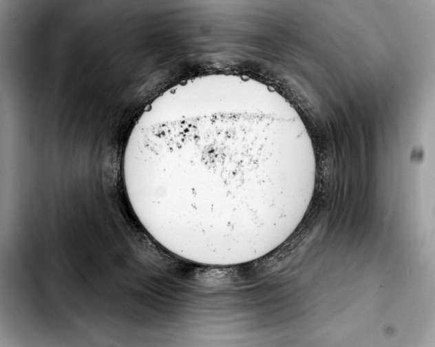 X0000103460129200810101159