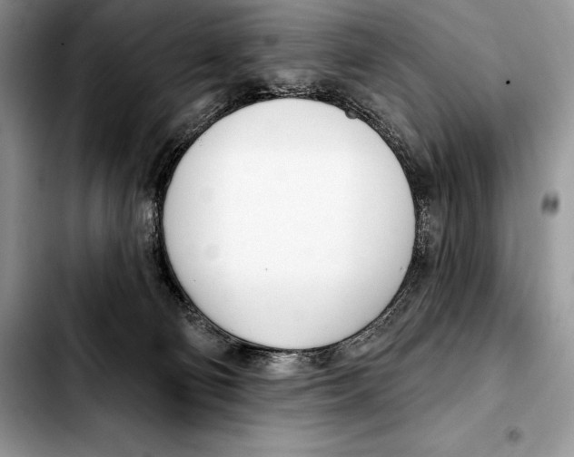 X0000103460130200810101159