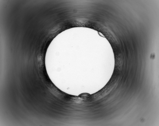 X0000103460131200810101159