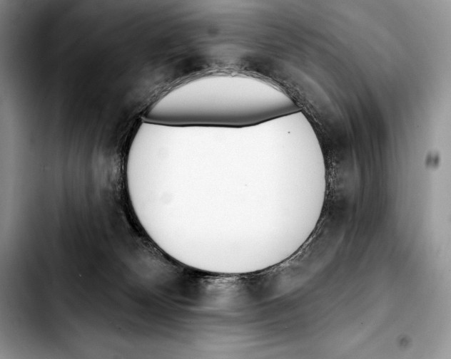 X0000103460132200810101159