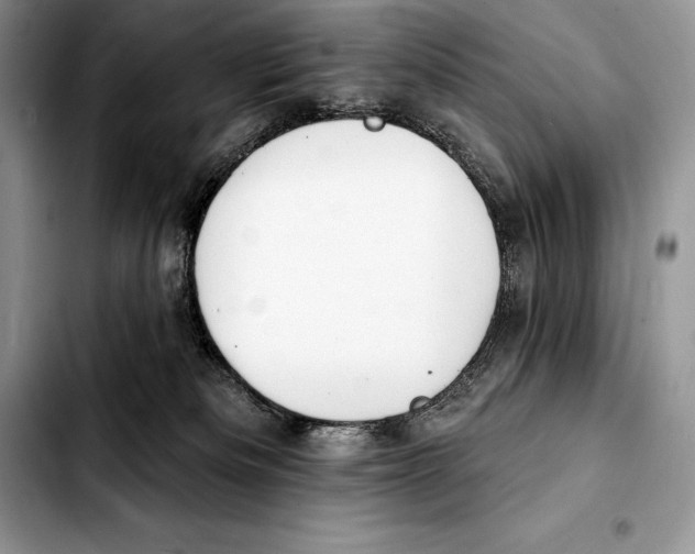 X0000103460133200810101159