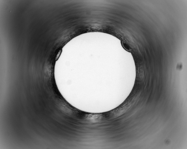 X0000103460135200810101159