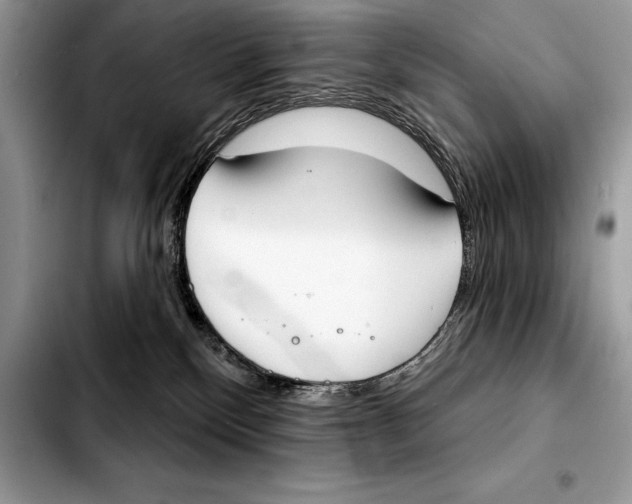 X0000103460136200810101159