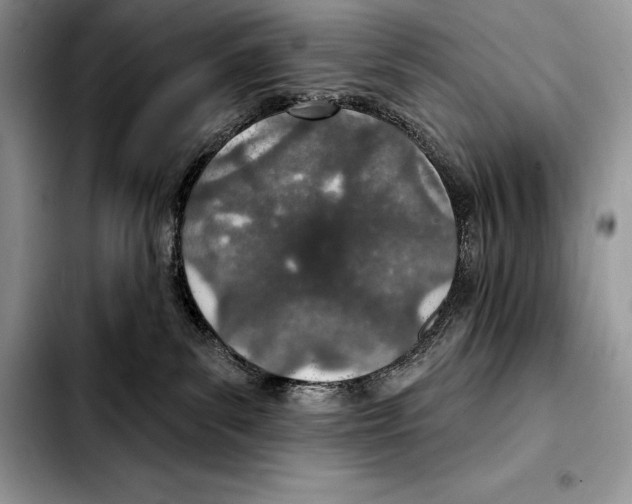 X0000103460139200810101159