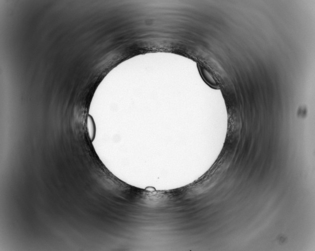 X0000103460141200810101159