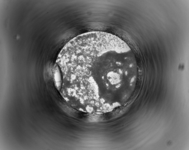 X0000103460143200810101159