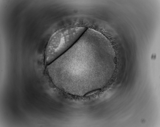 X0000103460144200810101159