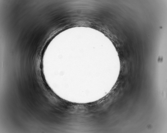 X0000103460146200810101158