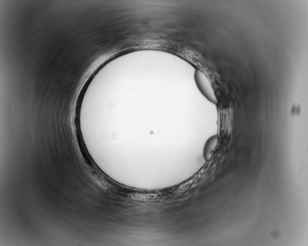 X0000103460147200810101158