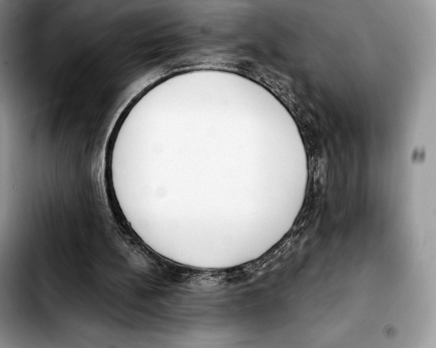 X0000103460148200810101158