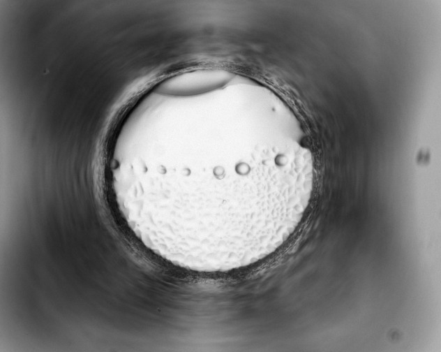 X0000103460149200810101158