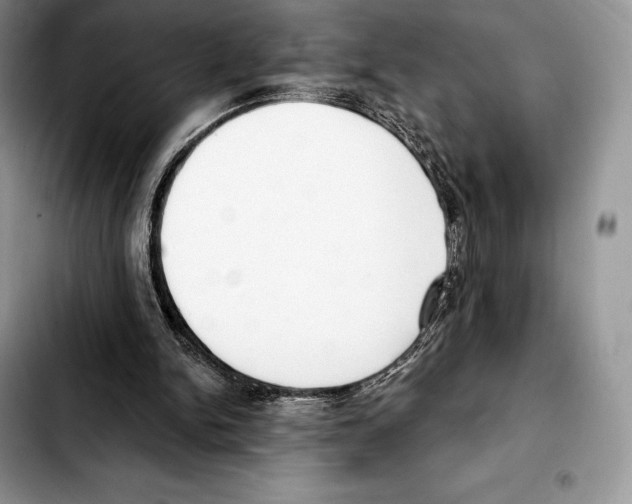 X0000103460150200810101158