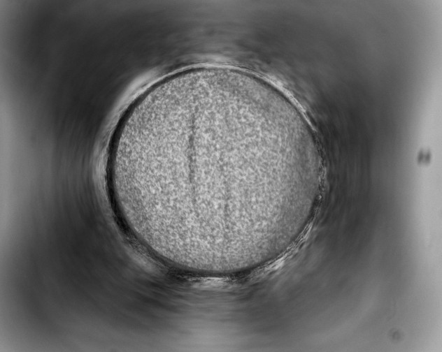 X0000103460151200810101158
