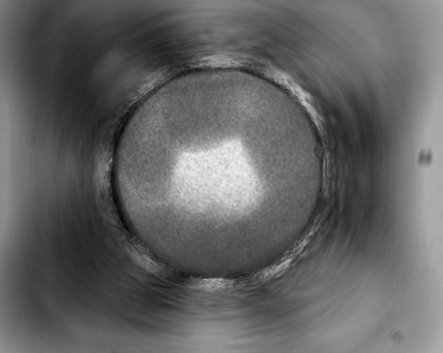 X0000103460153200810101158