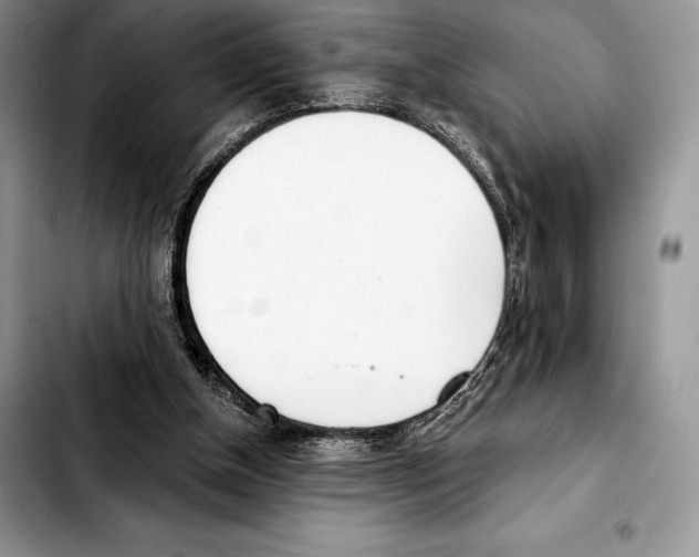 X0000103460154200810101158