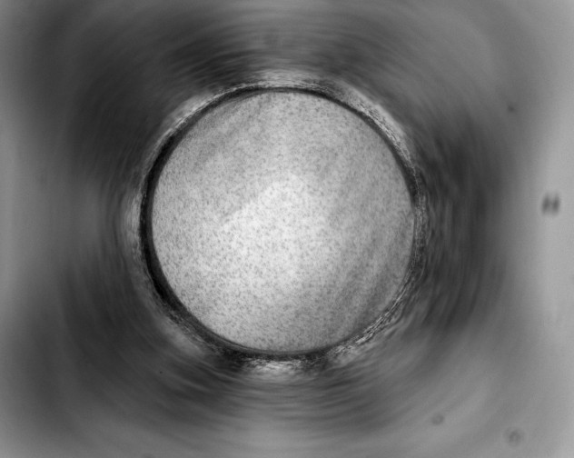 X0000103460155200810101158