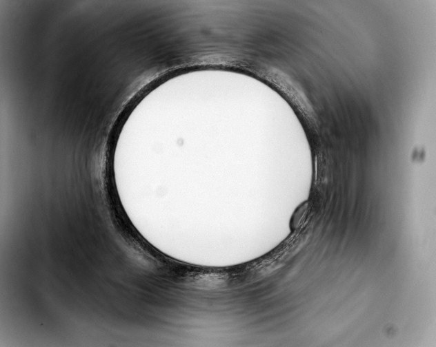 X0000103460156200810101158