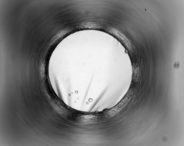 X0000103460158200810101158