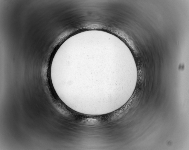 X0000103460159200810101158