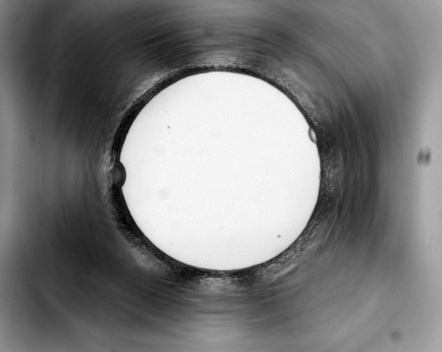 X0000103460160200810101158