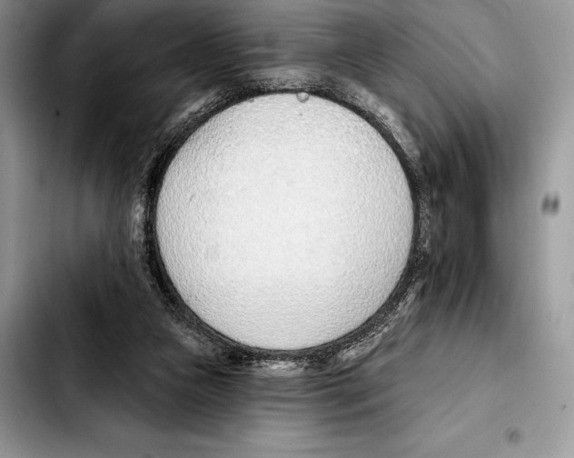 X0000103460161200810101158