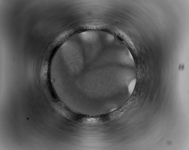 X0000103460163200810101158