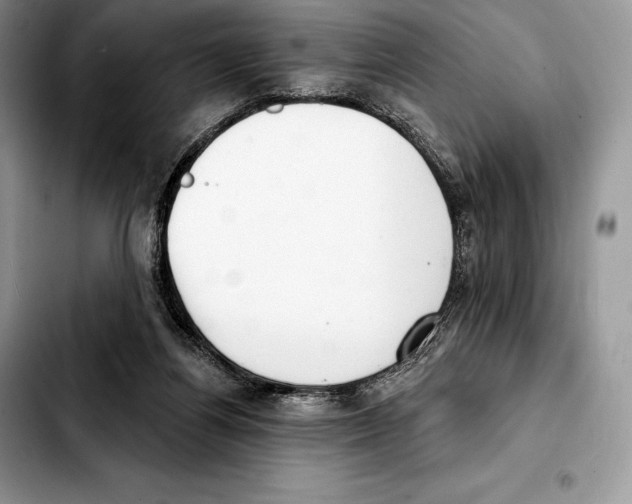 X0000103460164200810101158