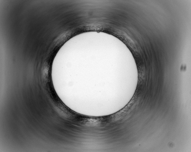 X0000103460166200810101158