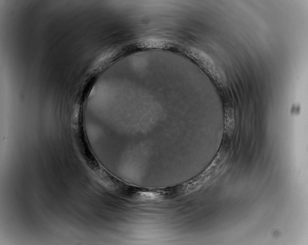 X0000103460167200810101158