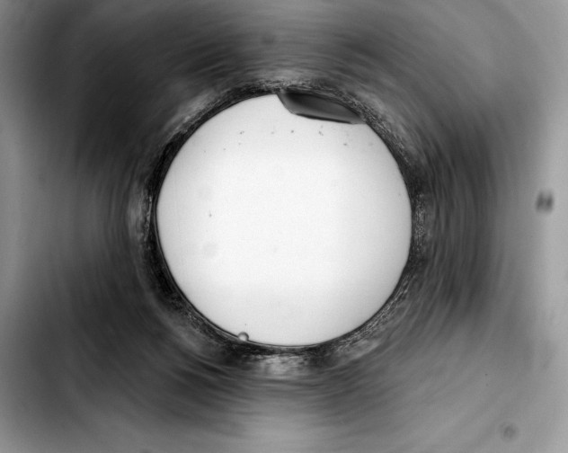 X0000103460168200810101158