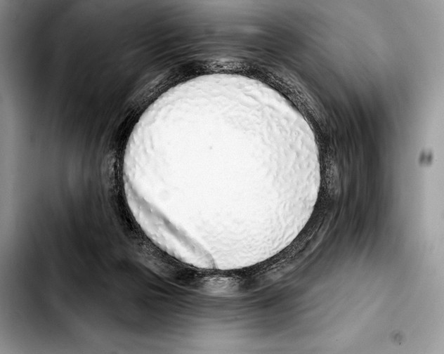 X0000103460169200810101158
