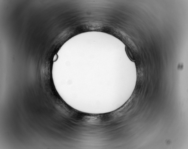 X0000103460170200810101158