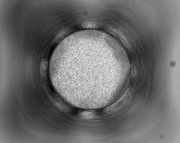 X0000103460171200810101158