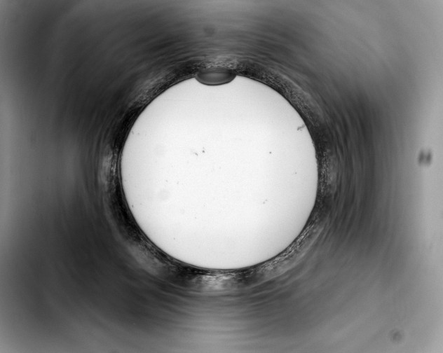 X0000103460172200810101158