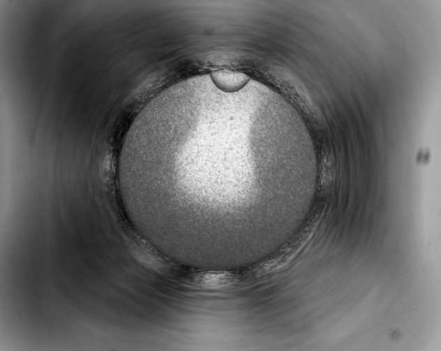 X0000103460173200810101158