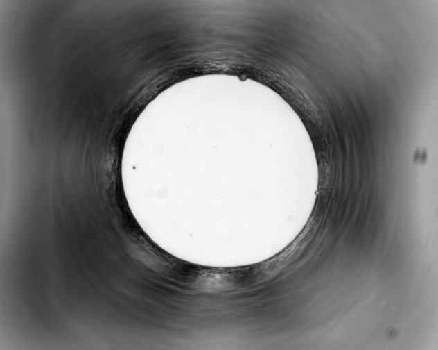 X0000103460174200810101159