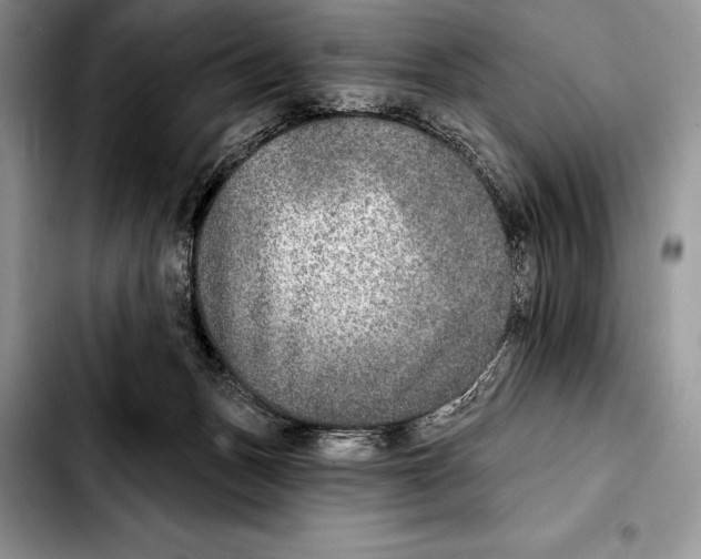 X0000103460175200810101159
