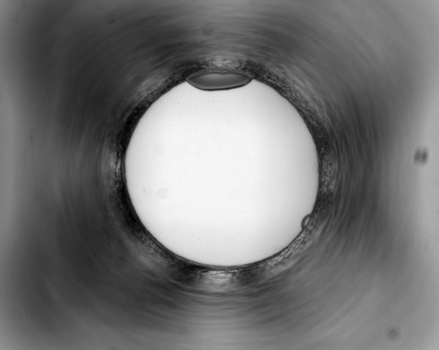 X0000103460176200810101159