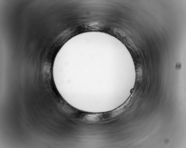 X0000103460178200810101159