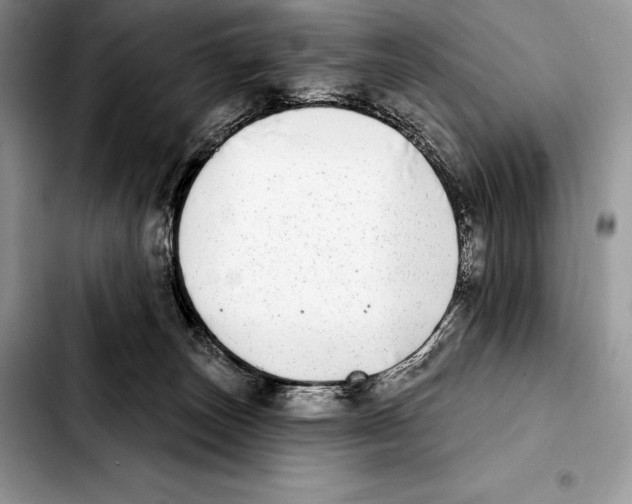 X0000103460179200810101159