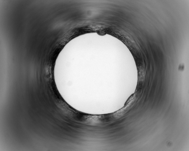 X0000103460182200810101159