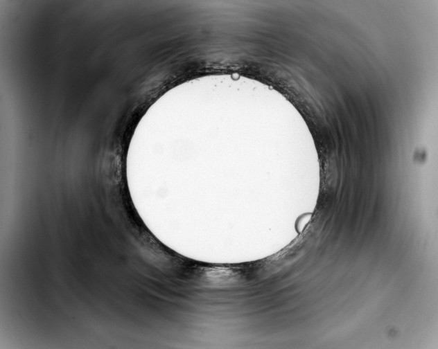 X0000103460183200810101159