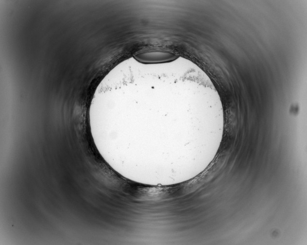 X0000103460184200810101159