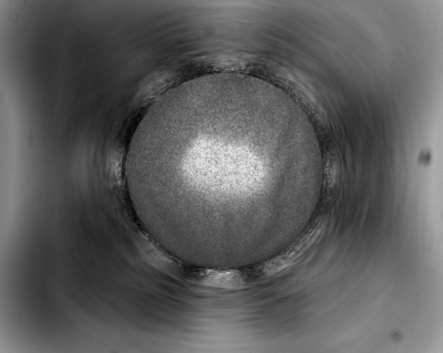 X0000103460185200810101159