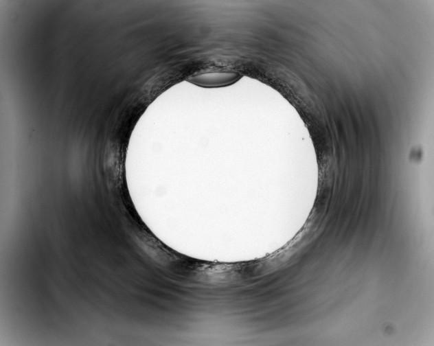 X0000103460186200810101159